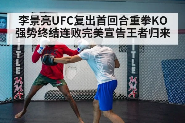 UFC fight
